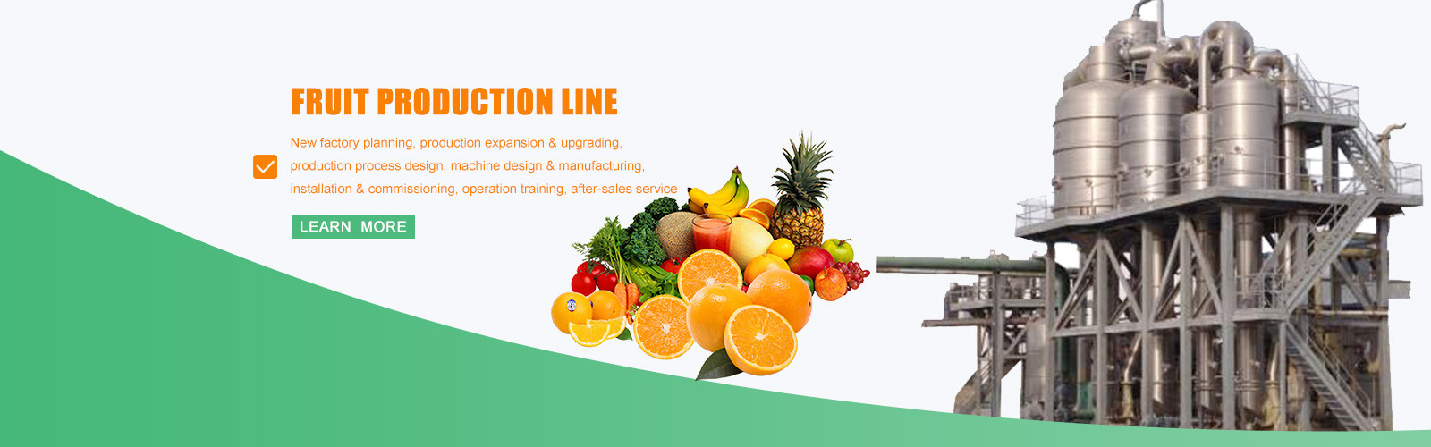 Fruit Processing Line