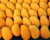 Mango Fruit Jam Production Line Automatic High Capacity