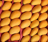 Automatic Mango Puree Production Line 3t Per Hour High Capacity