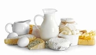 Fresh Milk Yogurt Dairy Production Line Bottle Packing