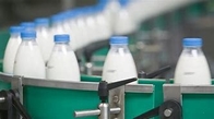 Milk Powder To Yogurt Dairy Production Line Cup And Bottle Packing