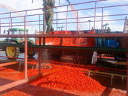 Fresh Fruit Tomato Jam Processing Line 6.5t/H High Capacity