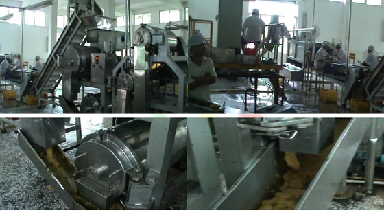 Dried Mango Fruit Processing Line 300kg - 20 Tons/Hour