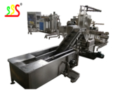 Food Grade 304 Stainless Steel Automatic Apple Processing Line With 1 Year Warranty