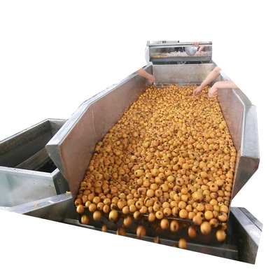 150kw Energy Efficient Fruit Vegetable Processing Line For Cost Effective Production