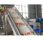 Stainless Steel Food Grade Fruit Processing Line With Automatic Bag Packing