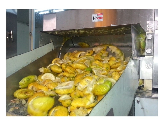 Mango Pineapple Juice Fruit Production Line With Minimal 500L/H Capacity