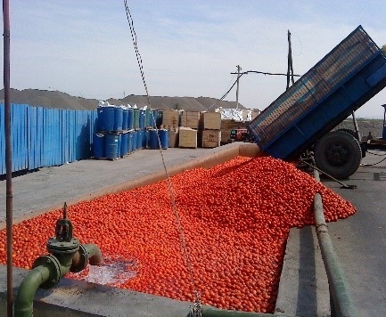 Automatic Tomato Paste Production Line