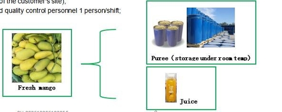 220L Aspetic Bag Packing Mango Puree Production Line 3 Tons Per Hour