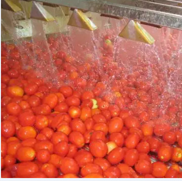 Automatic Tomato Paste Processing Line High Speed