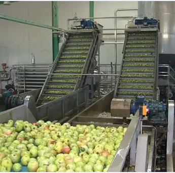 Natural Flavor Mango Processing Line 63% Brix