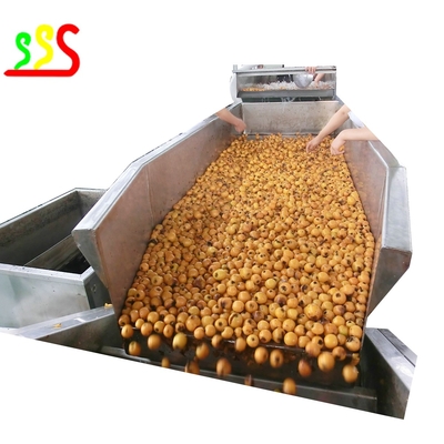 Passion Fruit And Mango Dry Fruit Production Line 200kg Per Hour
