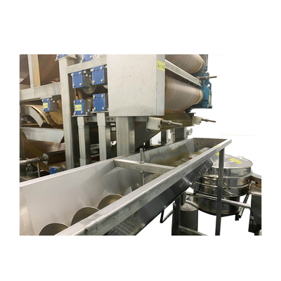 Fresh Tomato Paste Processing Line Automatic High Capacity