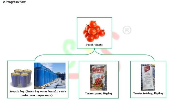 Concentration Jam Tomato Paste Making Machine 1.5tons Per Hour