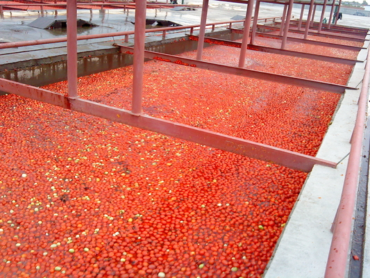 High Capacity Tomato Paste Processing Line 300 Bottles Per Hour