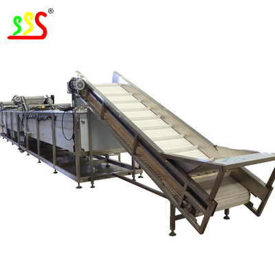 Dried Pineapple Slice Fruit Processing Line With Bag Packing