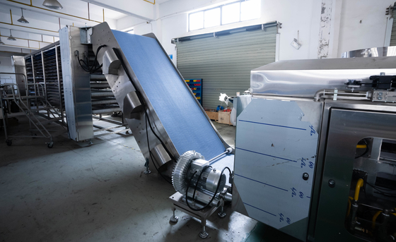BP-650 Tortilla / Roti / Taco Production Line For International Market