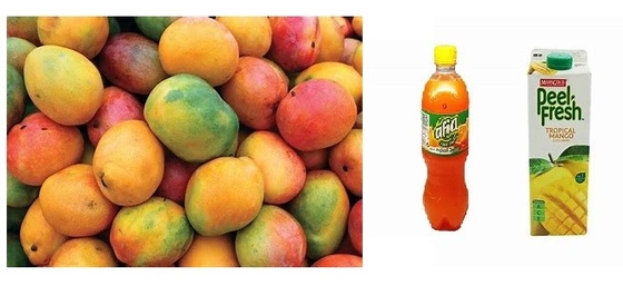 220V / 380V / 440V Fruit Juice Filling Machine Production Line For Mango