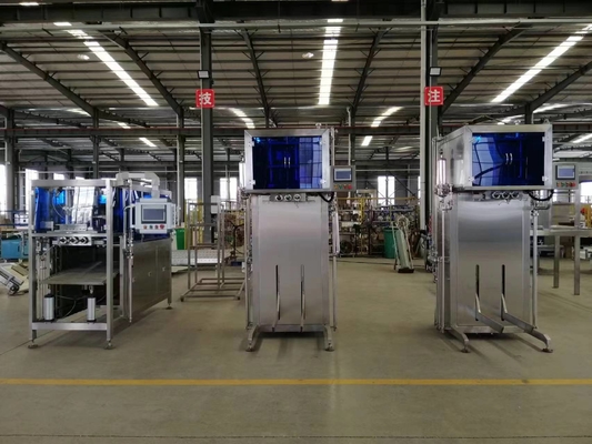 10 Ton/H Mango Processing Equipment Stainless Steel Food Grade PET Bottle Mango Juice