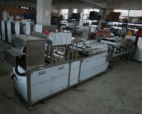 2000 Pcs/H Tortilla Production Line Small Scale With Two Extruders