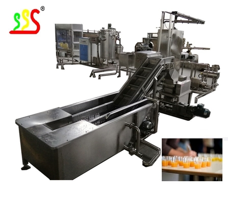 Small And Medium Fruit Production Line Less Than 1000kg/Hour