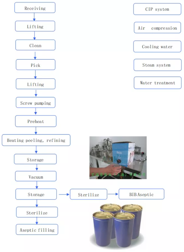 Semi Automatic Apple Jam Paste Processing Line Stainless Steel